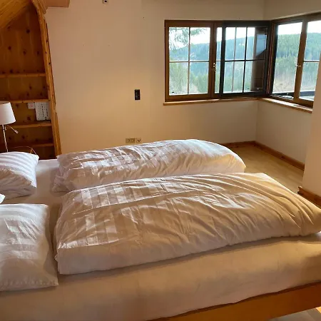 Schwarzwald-villa Mit Indoor-pool * Feldberg (Baden-Wurttemberg)