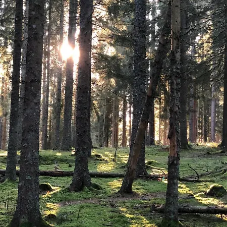 Schwarzwald-villa Mit Indoor-pool *