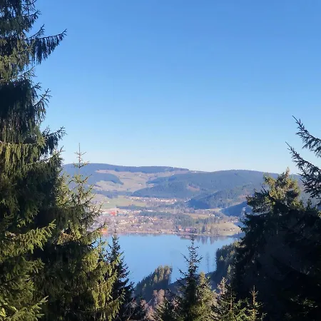 Дом отдыха Schwarzwald-villa Mit Indoor-pool