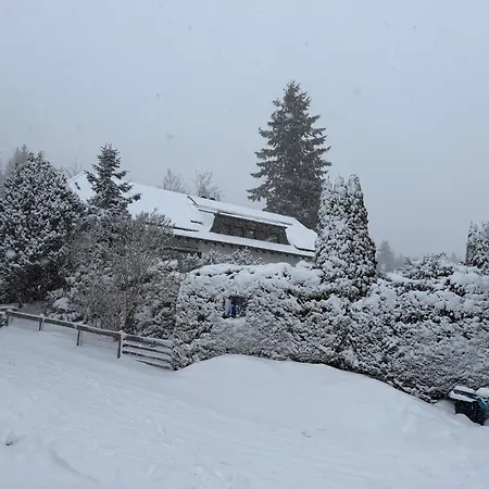 Schwarzwald-villa Mit Indoor-pool Feldberg (Baden-Wurttemberg)
